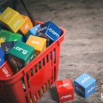 Domain Nedir?