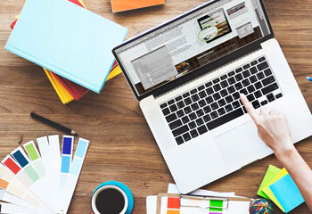 Profesyonel Web Tasarım