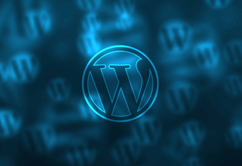 Ataşehir Profesyonel WordPress Uzmanı